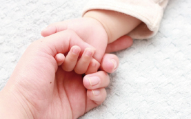 ���̑��̓���