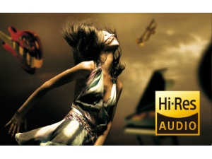 �n�C���]�����ɑΉ�