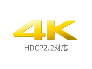 4K�Ή�