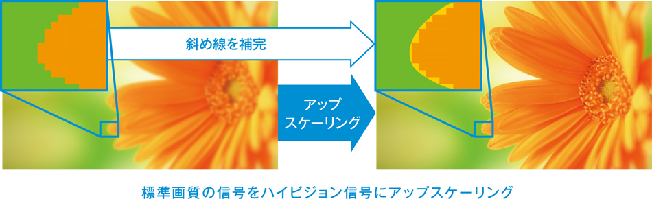 �v���V�W�����V�l�}HD�A�b�v�X�P�[��