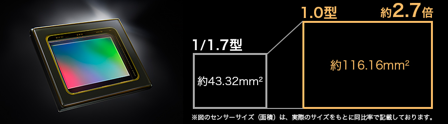 ���{���Y�[���̉掿�́A����Ȃ鍂�݂�