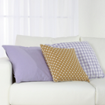 ハウスダスト中のダニ由来アレル物質対策