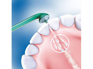 ��C�ƃ~�N���̐��H��p�����Ǝ����z