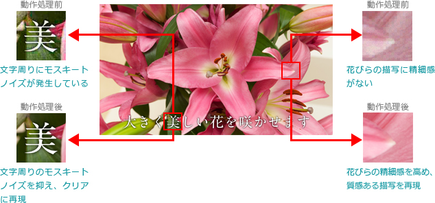 �������ӂ��N���A�ȉf���ƕ����̓ǂ݂₷���𗼗�