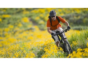 �����݂ȃu�����␳���鍂�x�ȃu���␳�@�\�𓋍�