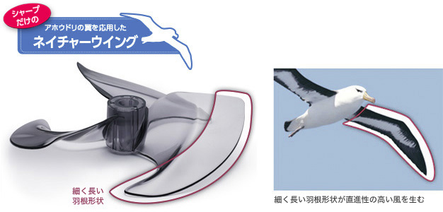 ���i���̍�������n��l�C�`���[�E�C���O