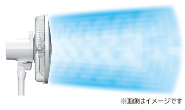 i핗j狭܂őIׂ镗6iK
