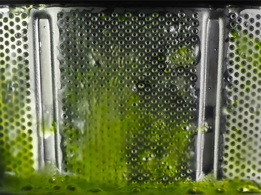 �ڎw�����̂́A ����̋����Ƃ₳�����B