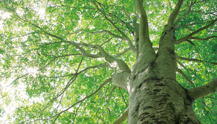 AAYA₷݁A3̃[hŕ֗Ɏg