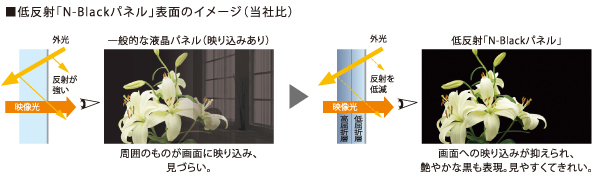 ₩ȍƒᔽˁuN-Blackplv