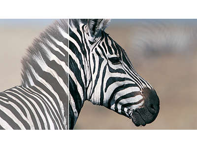 �f�B�[�v�u���b�N���x������������� SmartContrast