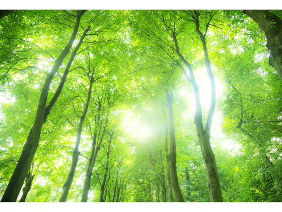 送風にリズムをプラスしたナチュラルな風