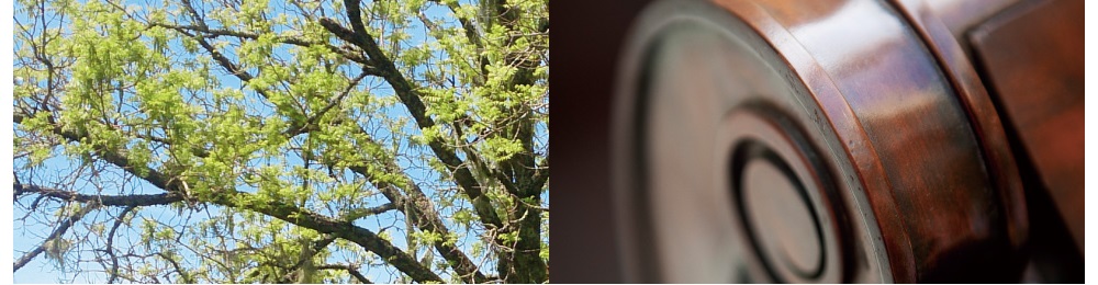 一本一本選び抜かれた北米産ウォールナットを採用。