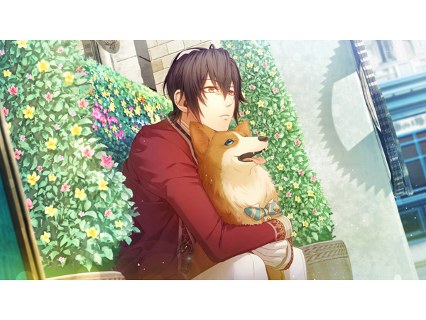 ���m�����`�����A�܂����ʖ`���̂悤�ɁB