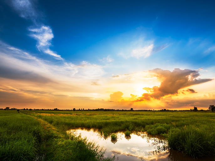 �m���掿�n