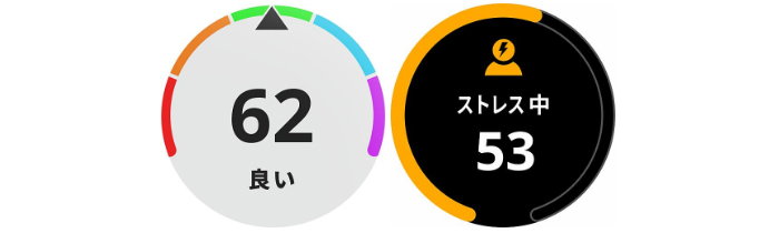 ����̃t�B�b�g�l�X�ƃX�g���X�̋L�^