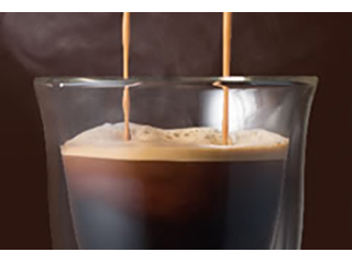 ʂȃM[R[q[uJtFEW|[lv