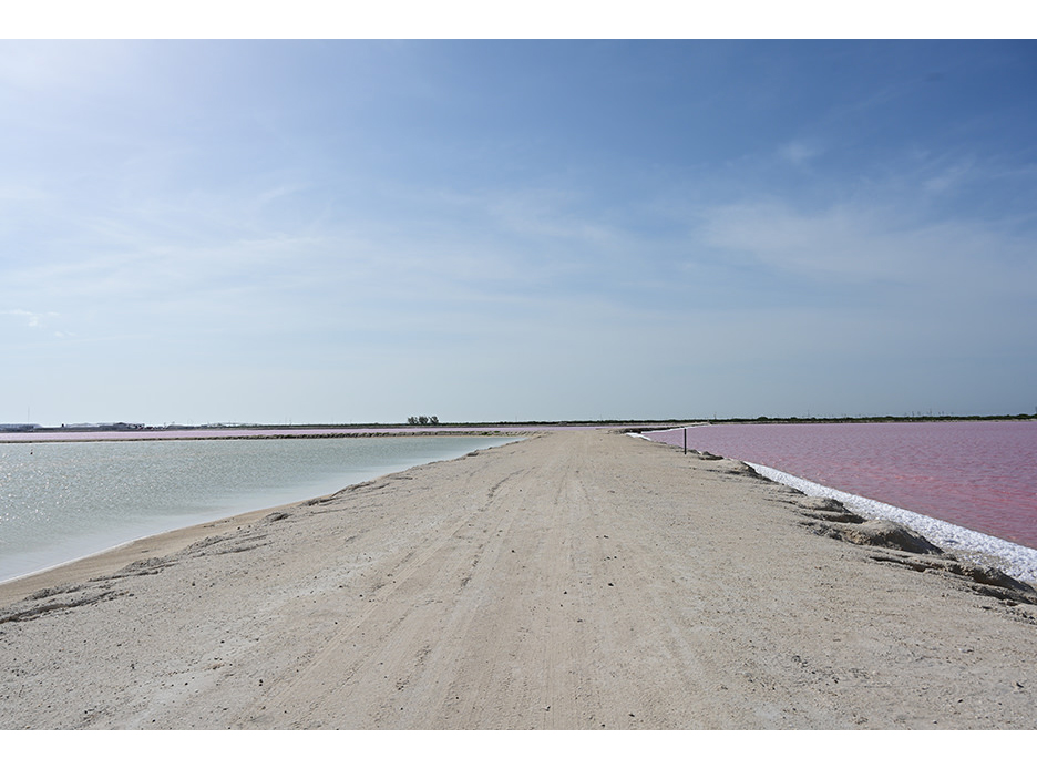 �L�p24mm���璆�]��70mm�܂ł��J�o�[