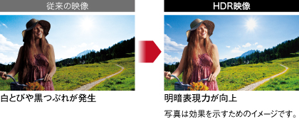 �y4K�Ō���z�K�����L���ŁA�R���g���X�g���N�b�L���I