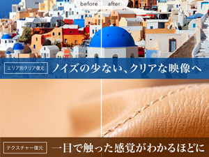 �i�������f����������