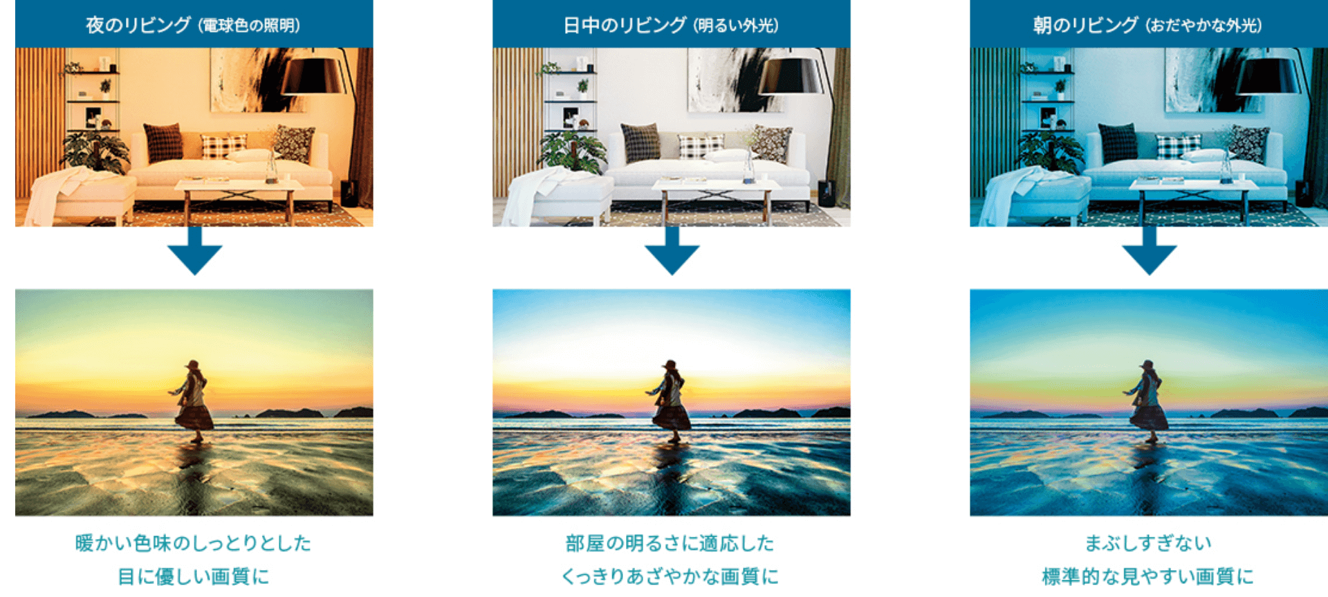 �������ɍ��킹�ĉ掿����������