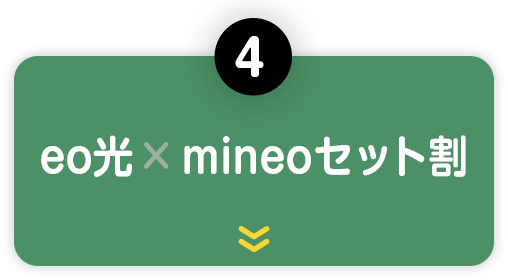 4.eo光×mineoセット割