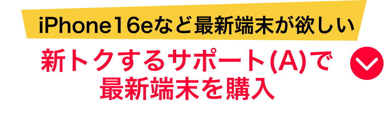 ŐV[~ VgNT|[g(A)ōŐV[w