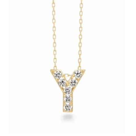 �A�[�J�[ �v���~�G�g���[���C�j�V���� �l�b�N���X