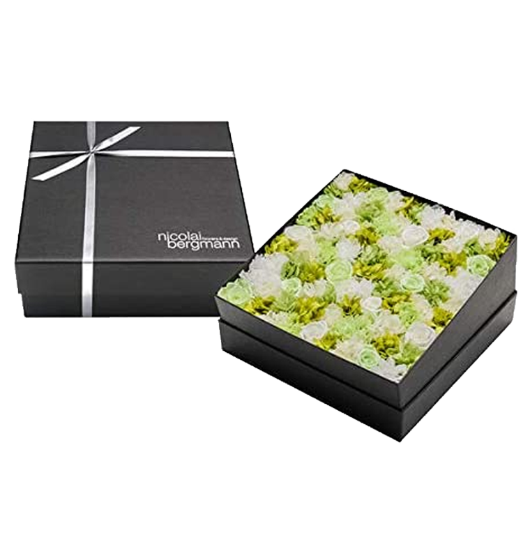 �j�R���C �o�[�O�}�� �v���U�[�u�h�t�����[�{�b�N�X