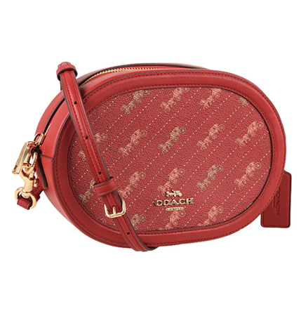 �R�[�`�̃V�����_�[�o�b�O