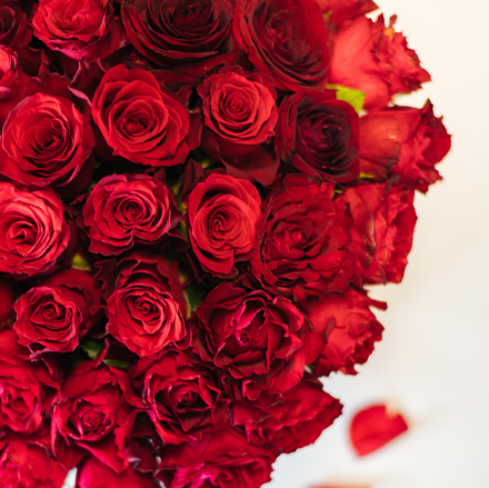 �Ԃ��o���̉ԑ�