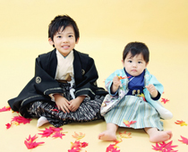 �сi�͂��܁j