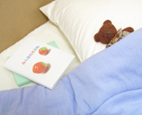 �����Q�z�c�Z�b�g