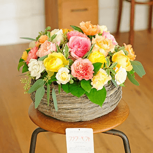 �o�X�P�b�g����̃A�����W�����g