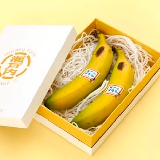 �o�i�i ���˓��΂Ȃ�