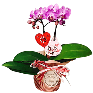 �}�C�N���Ӓ���