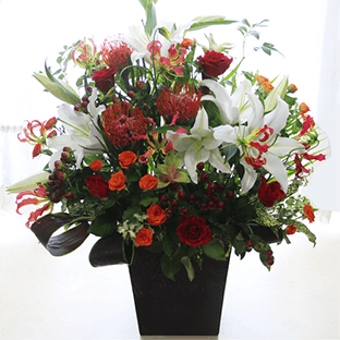 �J�T�u�����J�̃A�����W�����g