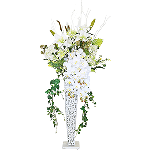 �X�^���h��