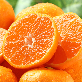 �݂��� �L�c�݂���