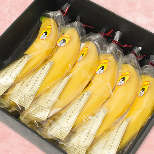 �o�i�i �A�|�R�X�[�p�[800