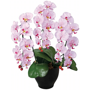 開店祝い 開業祝い 喜ばれるギフトから金額の相場 マナーまで 価格 Com