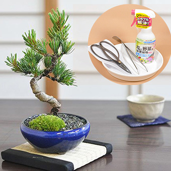 ���S�җp�~�̓Z�b�g �e��