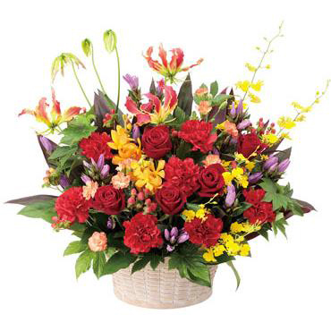 �A�����W�����g �e��