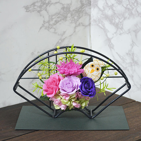 �v���U�[�u�h�t�����[ �a���A�����W�����g �e��