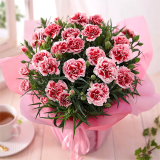 �J�[�l�[�V���� �������z�C�b�v