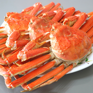 �{���킢�I�p