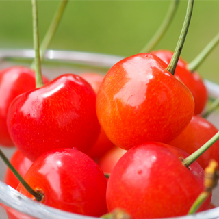 ������ ���G ��������