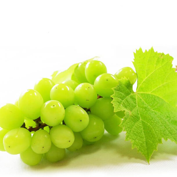 �V���C���}�X�J�b�g ����