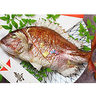 鯛