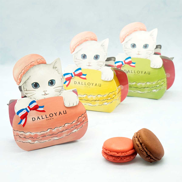 �L�^�j���J����